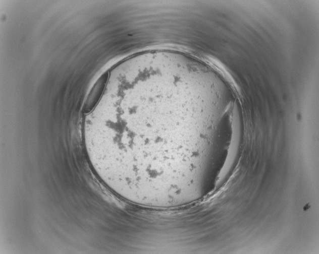 X0000061741292200512302202