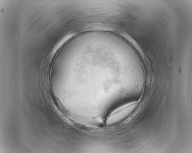 X0000061741293200512302202