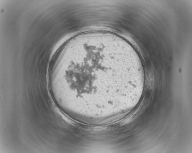 X0000061741294200512302202