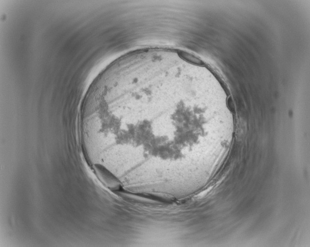 X0000061741295200512302202