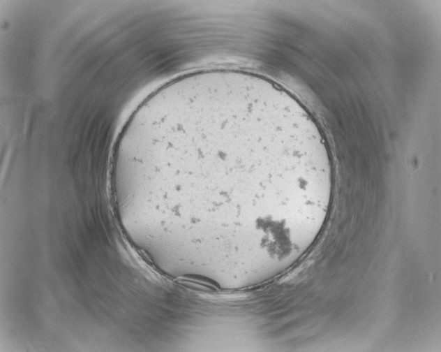 X0000061741296200512302202