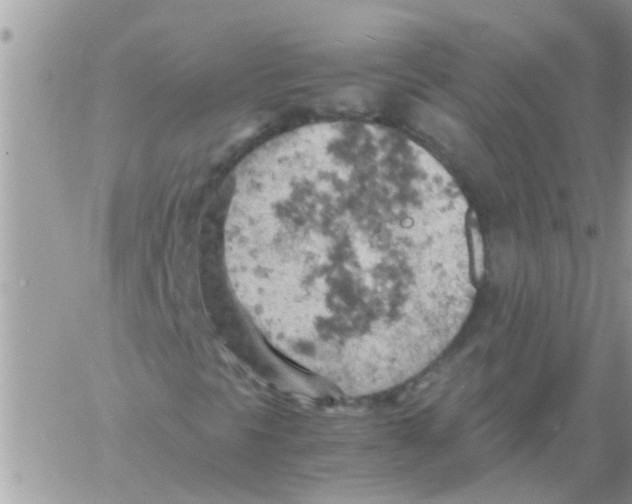 X0000061741297200512302201