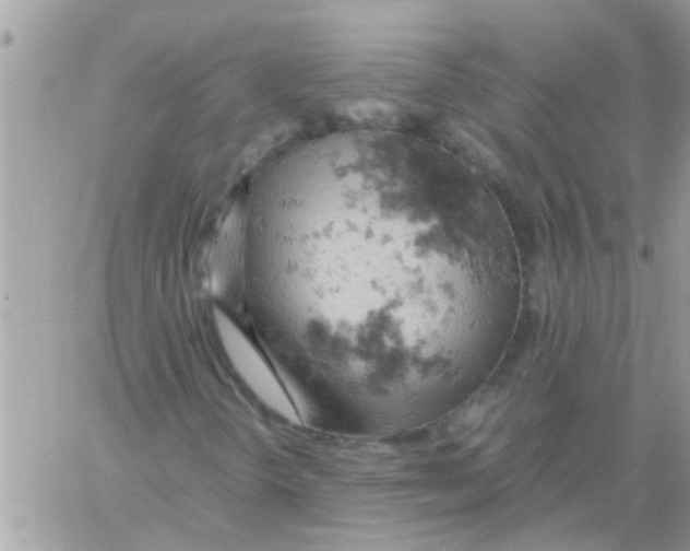 X0000061741298200512302201