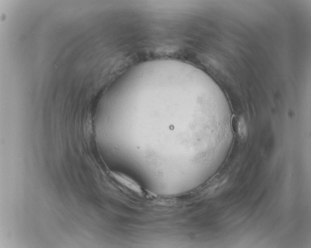 X0000061741299200512302201