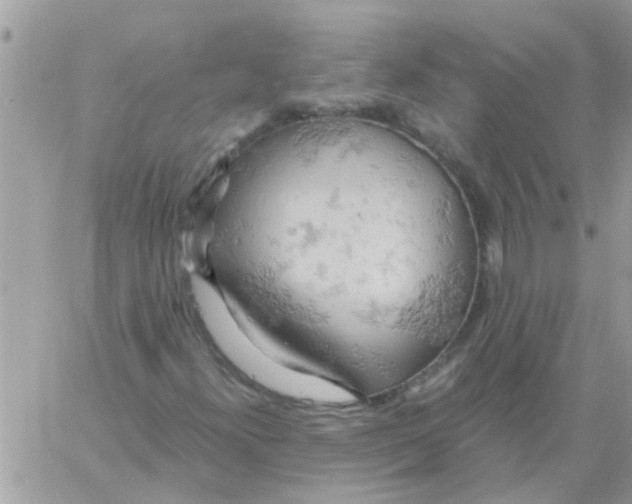 X0000061741300200512302201