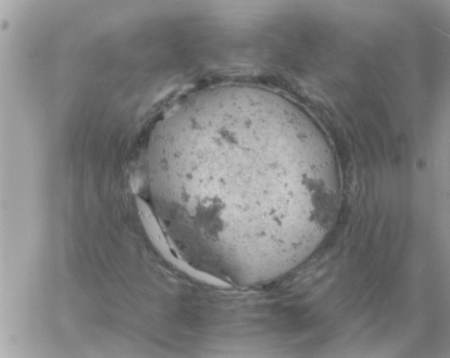 X0000061741301200512302201