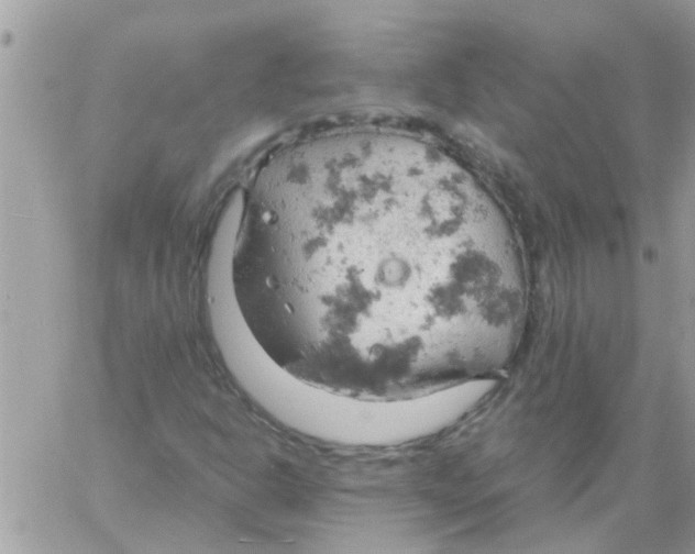 X0000061741302200512302201