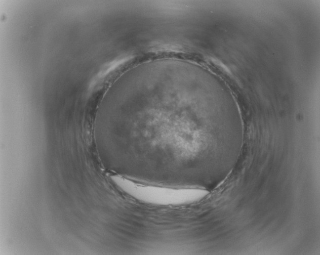 X0000061741303200512302201