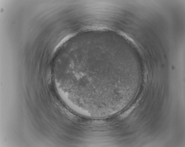 X0000061741306200512302201