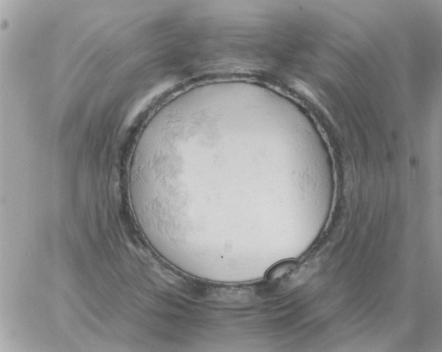 X0000061741307200512302201