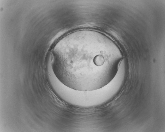 X0000061741308200512302201