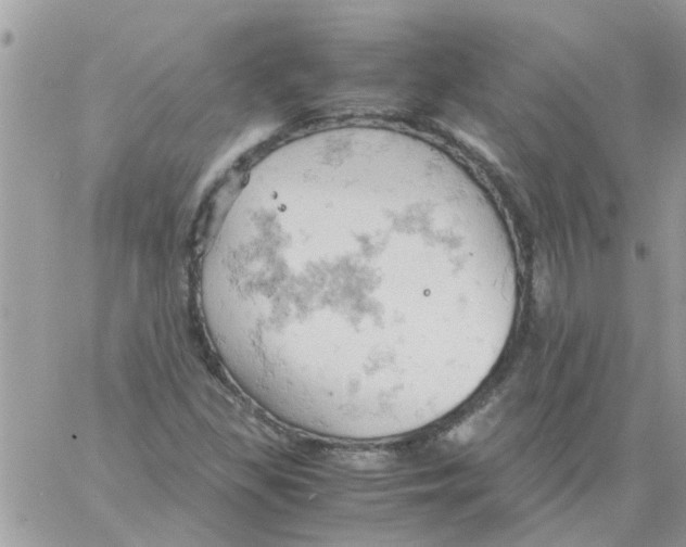 X0000061741309200512302201