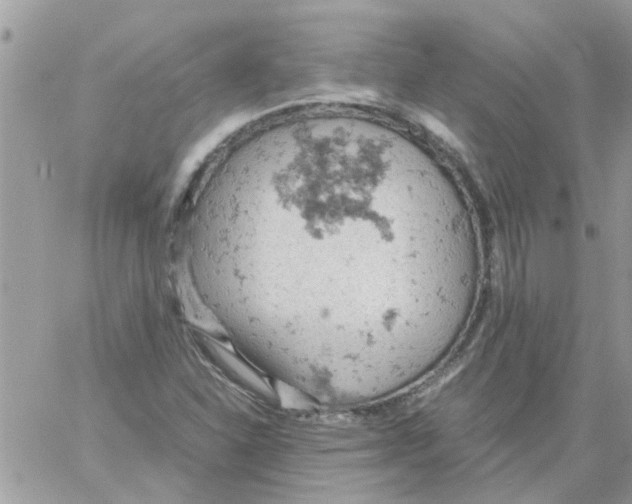 X0000061741310200512302201