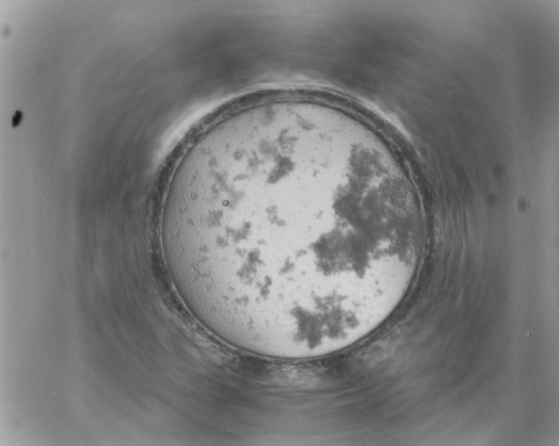 X0000061741311200512302201