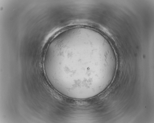 X0000061741312200512302201