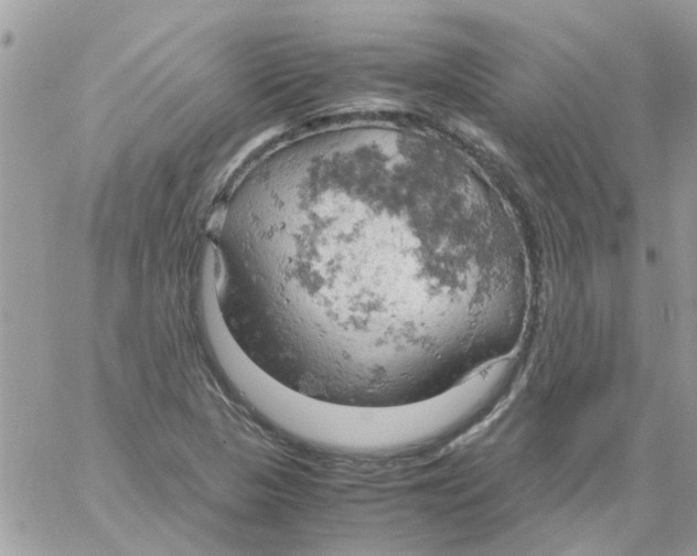 X0000061741313200512302201