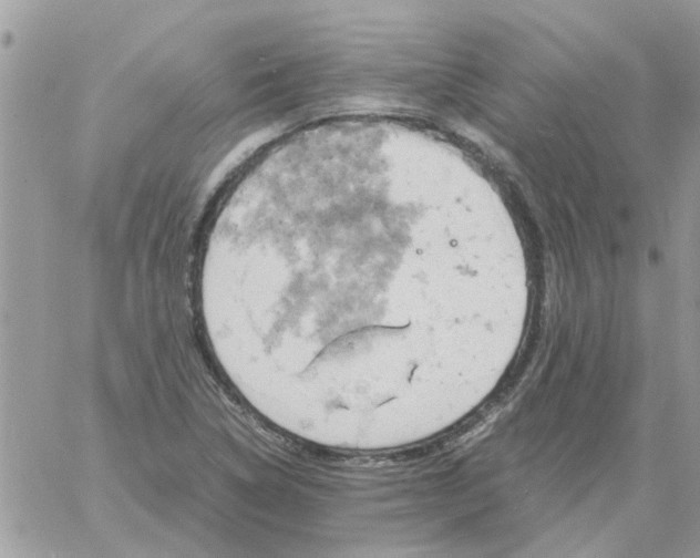 X0000061741314200512302201