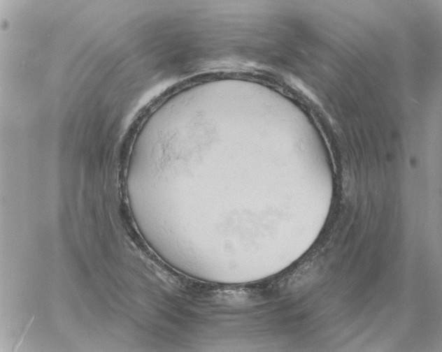 X0000061741315200512302201