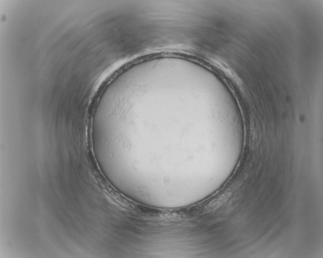 X0000061741316200512302201