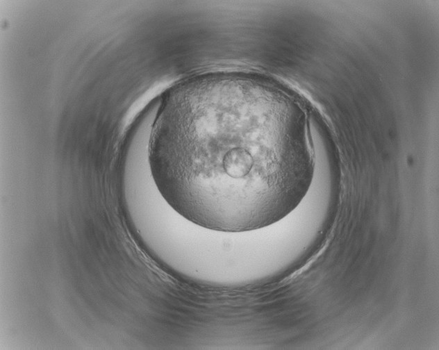 X0000061741317200512302201