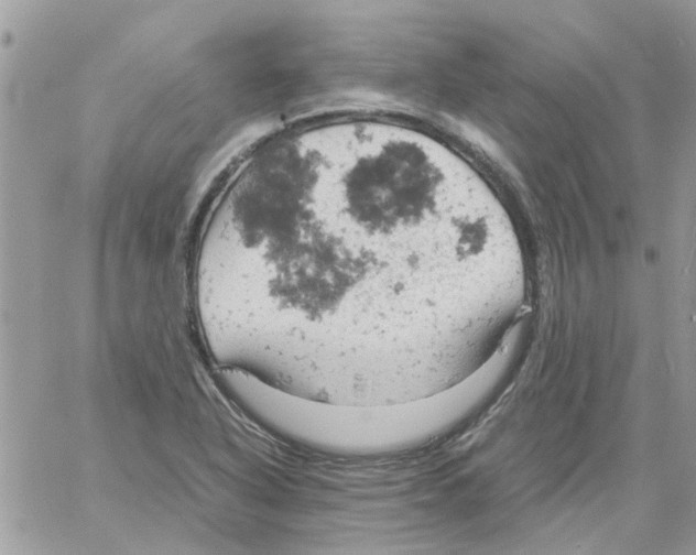 X0000061741318200512302201