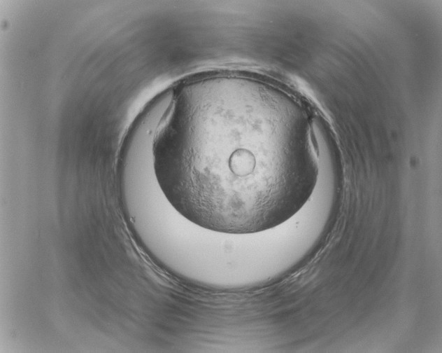 X0000061741320200512302201