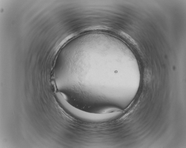 X0000061741321200512302201