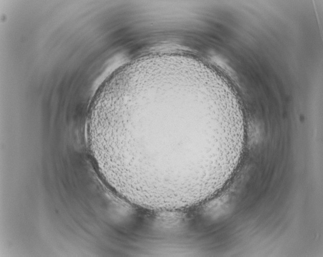 X0000061741322200512302201