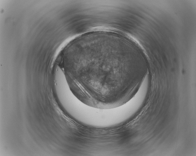 X0000061741323200512302201