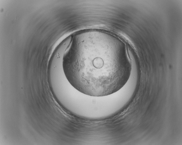 X0000061741324200512302201