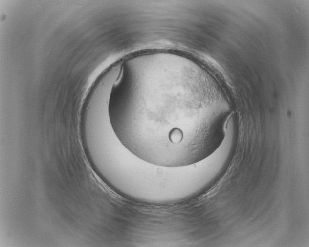 X0000061741326200512302201