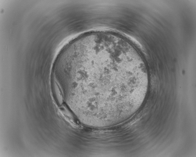 X0000061741327200512302201