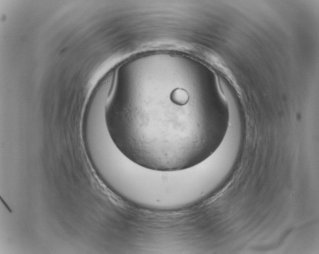 X0000061741328200512302201