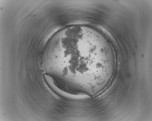 X0000061741329200512302201