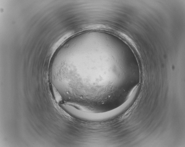 X0000061741330200512302201