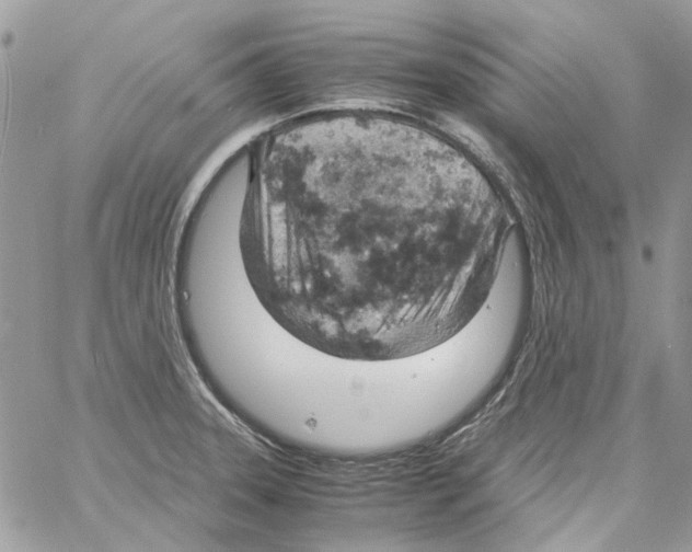 X0000061741331200512302201