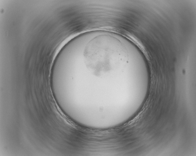 X0000061741332200512302201