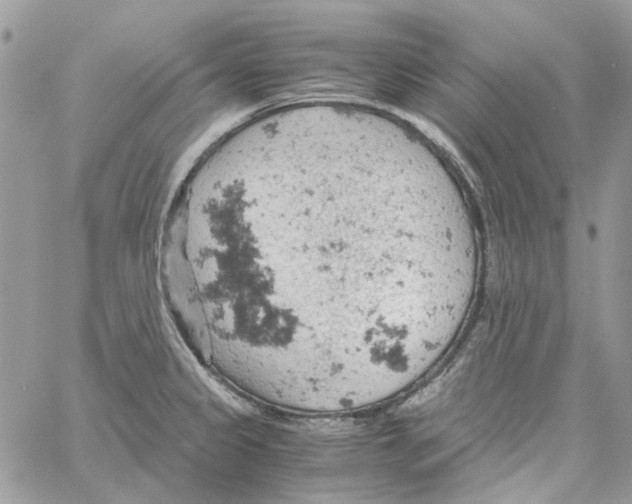 X0000061741333200512302201