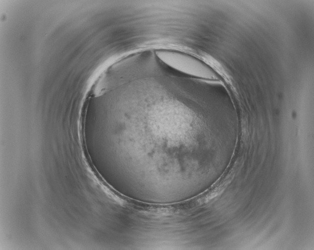 X0000061741334200512302201