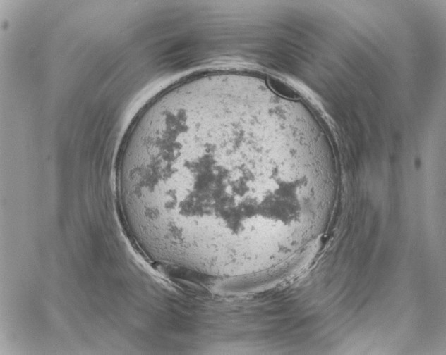 X0000061741335200512302201