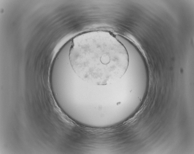 X0000061741336200512302202