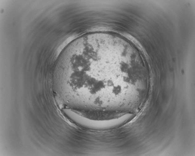 X0000061741337200512302202