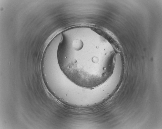 X0000061741338200512302202