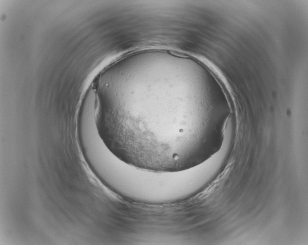 X0000061741341200512302202