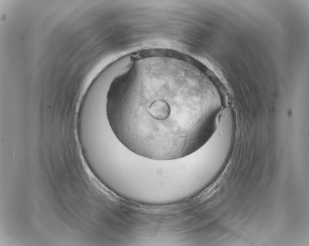 X0000061741342200512302202