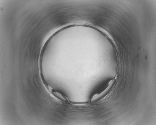 X0000061741343200512302202