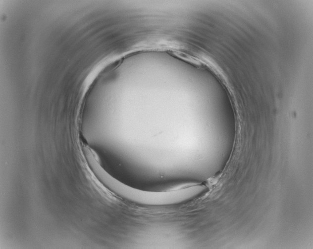 X0000061741344200512302202