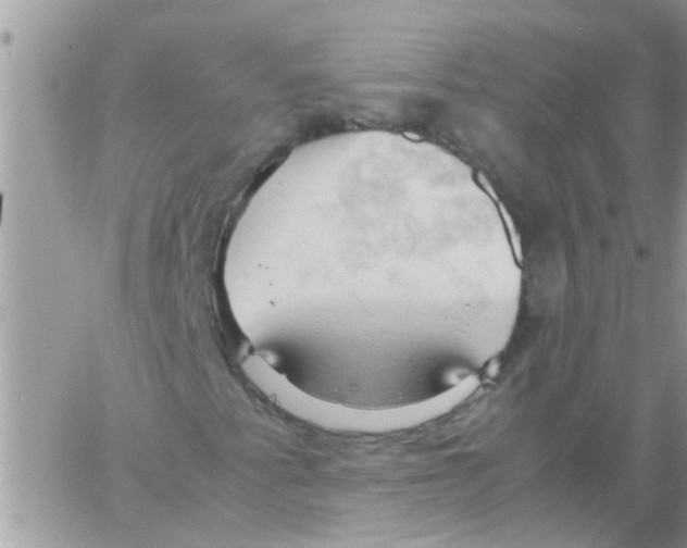 X0000061741345200512302201