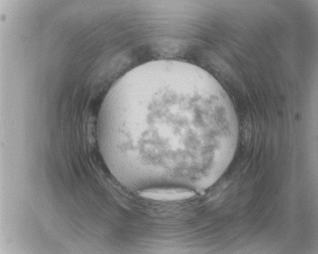 X0000061741346200512302201