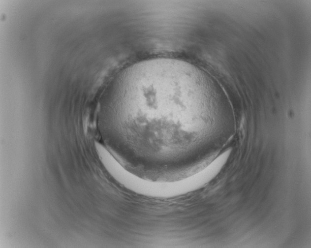 X0000061741348200512302201